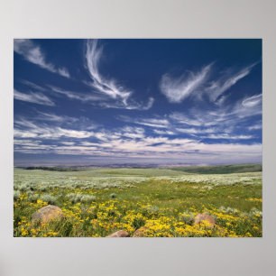 VS, Oregon, Steens Mountain. Lente bloeit Poster