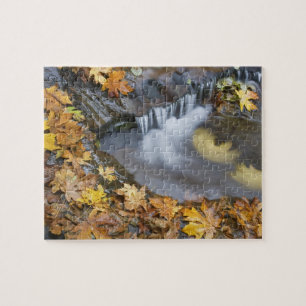 VS, Oregon, Sweet Creek. Gevallen esdoornbladeren Legpuzzel