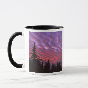 VS, Oregon, Three Sisters Wilderness, Levendig Mok