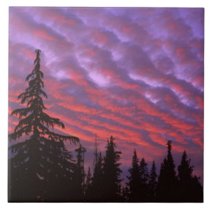 VS, Oregon, Three Sisters Wilderness, Levendig Tegeltje