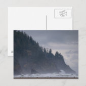 VS, Oregon, Tillamook County, bos aan de kust Briefkaart (Voorkant / Achterkant)