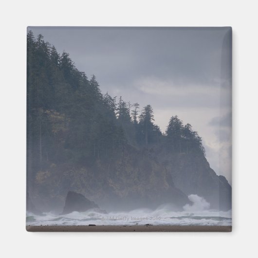 VS, Oregon, Tillamook County, bos aan de kust Magneet (Voorkant)