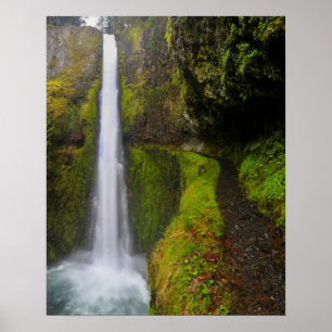 VS, Oregon. Uitzicht boven tot onder van 130 ft Poster