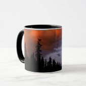 VS, Oregon, Umpqua National Forest. Storm 2 Mok (Voorkant links)