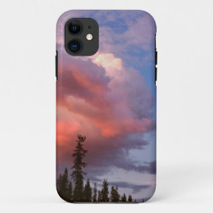 VS, Oregon, Umpqua National Forest. Storm iPhone 11 Hoesje