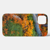 VS, Oregon, Willamette National Forest Case-Mate iPhone Case (Achterkant (horizontaal))