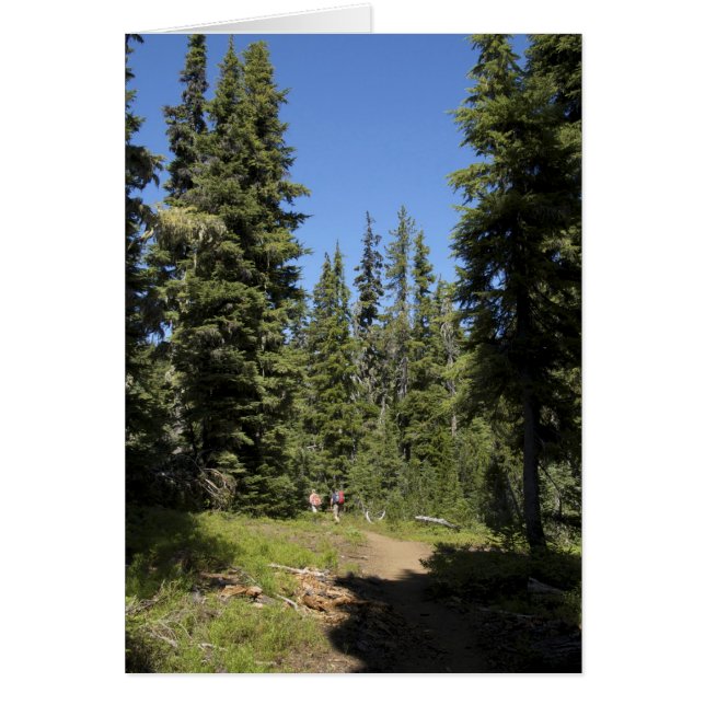 VS, Oregon, Willamette National Forest, Herfst (Voorkant)