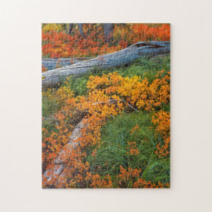 VS, Oregon, Willamette National Forest Legpuzzel
