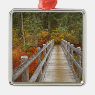 VS, Oregon, Willamette National Forest. Metalen Ornament