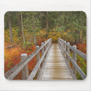 VS, Oregon, Willamette National Forest. Muismat