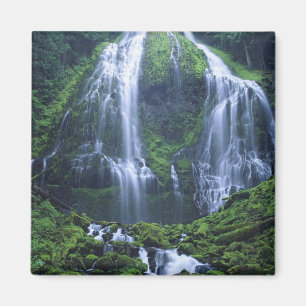 VS, Oregon, Willamette National Forest. Uitzicht o Magneet