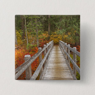 VS, Oregon, Willamette National Forest. Vierkante Button 5,1 Cm