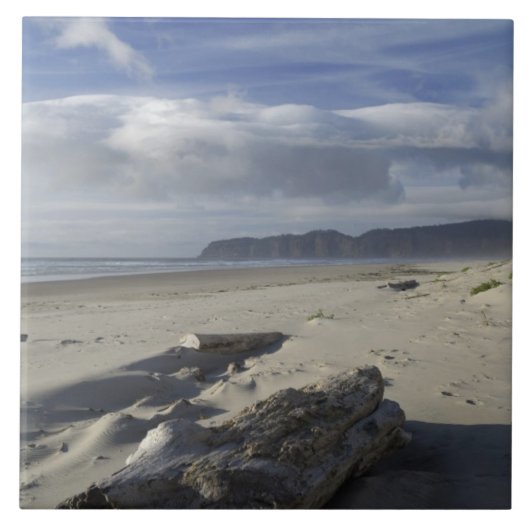 VS, Oregon, Zandduinen en Oceaan, Pacific City Tegeltje (Voorkant)