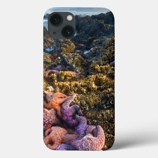VS, Oregon. Zeesterren Case-Mate iPhone Case (Achterkant)