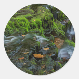 VS, Pennsylvania, Benton, Ricketts Glen State Ronde Sticker