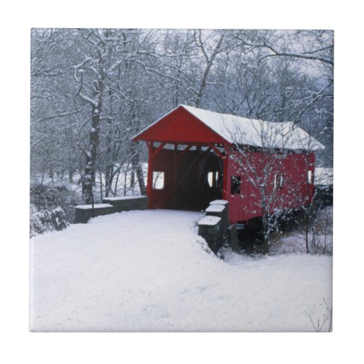 VS, Pennsylvania, Mariana County Tegeltje (Voorkant)