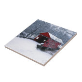 VS, Pennsylvania, Mariana County Tegeltje (Zijkant)