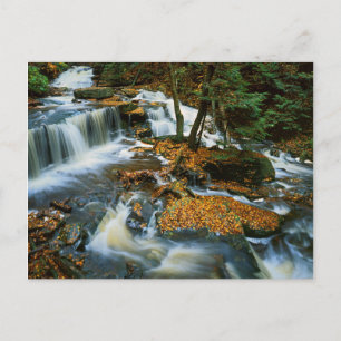 VS, Pennsylvania, Ricketts Glen State Park Briefkaart