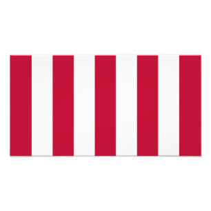 VS Sons Of Liberty 9 Strepen Vlag Foto Afdruk