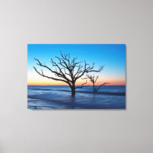 VS, South Carolina, Edisto Island, Botany Bay Canvas Afdruk (Voorkant)