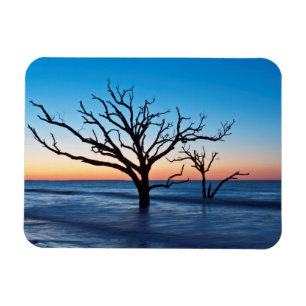 VS, South Carolina, Edisto Island, Botany Bay Magneet