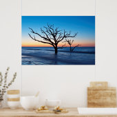 VS, South Carolina, Edisto Island, Botany Bay Poster (Keuken)