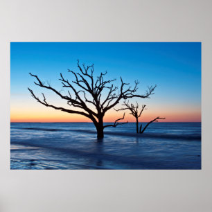 VS, South Carolina, Edisto Island, Botany Bay Poster