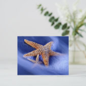 VS, South Carolina, Hilton Head Island. Twee Briefkaart (Staand voorkant)