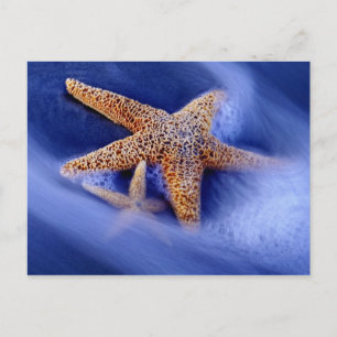 VS, South Carolina, Hilton Head Island. Twee Briefkaart