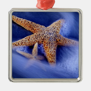 VS, South Carolina, Hilton Head Island. Twee Metalen Ornament