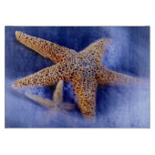 VS, South Carolina, Hilton Head Island. Twee Snijplank (Voorkant)