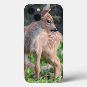VS, staat Washington. Blacktail Deer Fawn iPhone 13 Hoesje