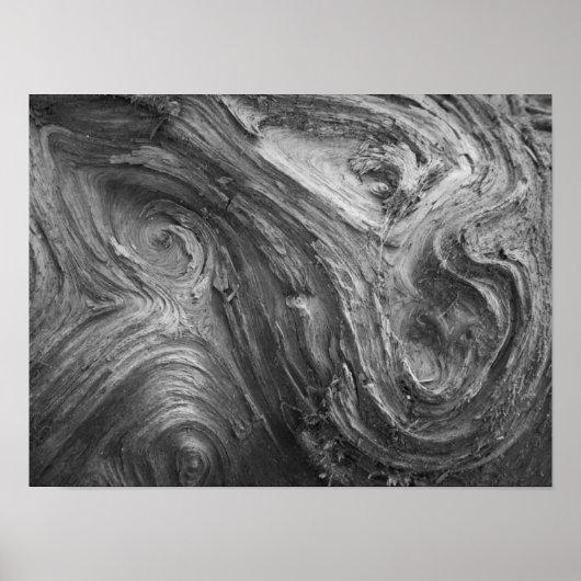 VS, staat Washington. Douglass Fir Poster (Voorkant)