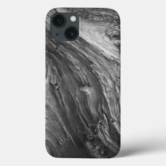 VS, staat Washington. Douglass spar Case-Mate iPhone Case (Achterkant)