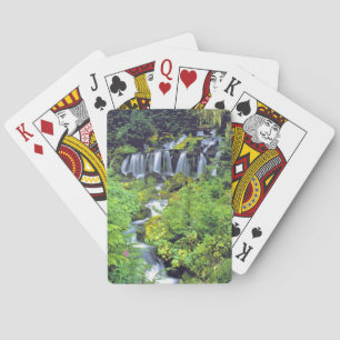 VS, staat Washington, Mt Adams Wilderness. Twin Pokerkaarten
