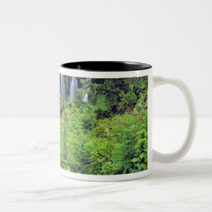 VS, staat Washington, Mt Adams Wilderness. Twin Tweekleurige Koffiemok