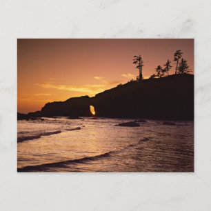 VS, staat Washington, Olympic National Park. 2 Briefkaart