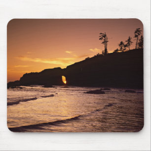 VS, staat Washington, Olympic National Park. 2 Muismat