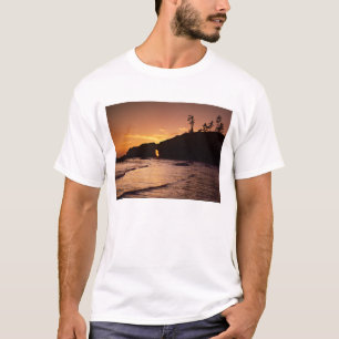 VS, staat Washington, Olympic National Park. 2 T-shirt
