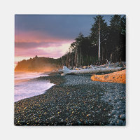 VS, staat Washington, Olympic NP. Golven spoelen t