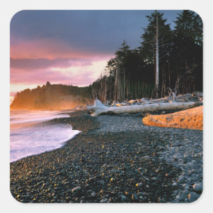 VS, staat Washington, Olympic NP. Golven spoelen t Vierkante Sticker