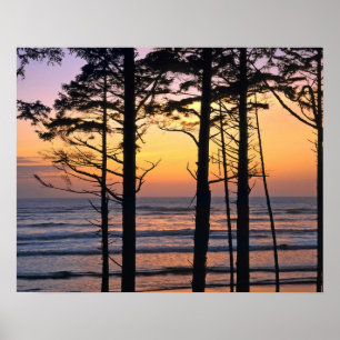 VS, staat Washington, Olympisch NP. Fijn Poster