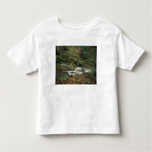 VS, Tennessee. Big South Fork National River Kinder Shirts