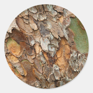 VS, Tennessee, Close-up van de bast op een boom Ronde Sticker