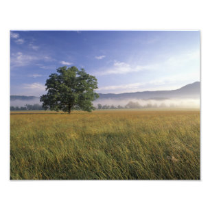 VS, Tennessee. Great Smokey Mountains 2 Foto Afdruk
