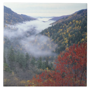 VS, Tennessee, Great Smokey Mountains Nationaal Tegeltje