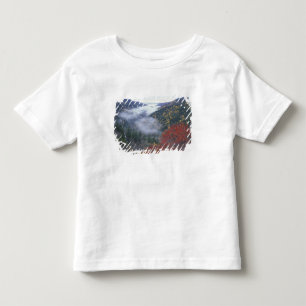 VS, Tennessee, Great Smokey Mountains National Kinder Shirts