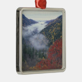 VS, Tennessee, Great Smokey Mountains National Metalen Ornament (Rechts)