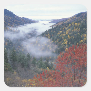 VS, Tennessee, Great Smokey Mountains National Vierkante Sticker