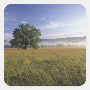 VS, Tennessee. Great Smokey Mountains Vierkante Sticker